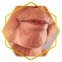 bn3.png
